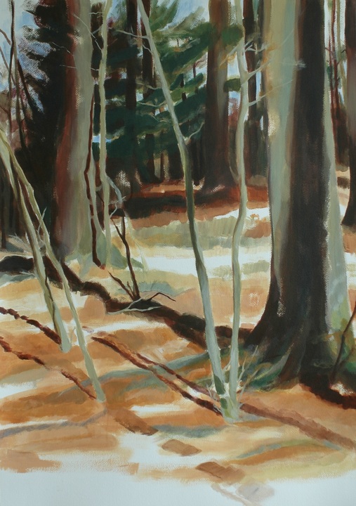 Wald V