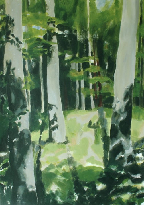 Wald IV